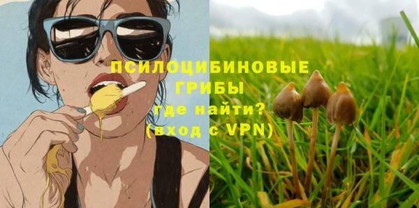 спайс Всеволожск