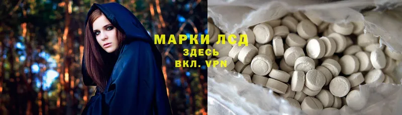 ЛСД экстази ecstasy  магазин продажи   Прохладный 