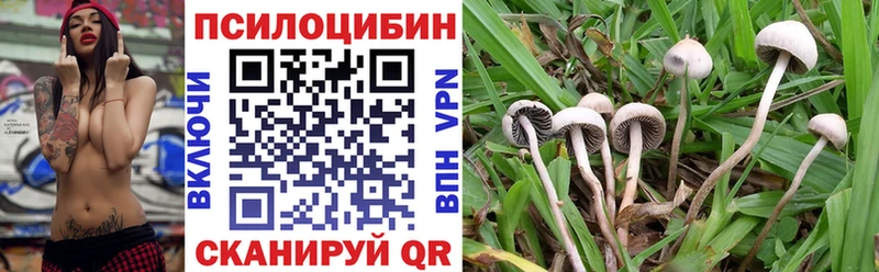 Галлюциногенные грибы Magic Shrooms  где продают наркотики  нарко площадка клад  Прохладный  ОМГ ОМГ вход 